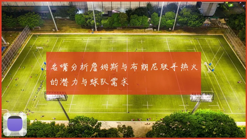 名嘴分析詹姆斯与布朗尼联手热火的潜力与球队需求